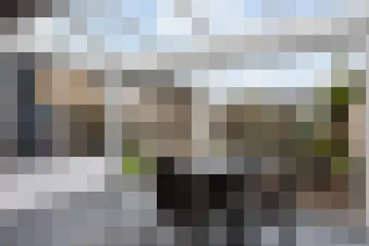 Westerbeek 5 Schoonebeek thumbnail 24