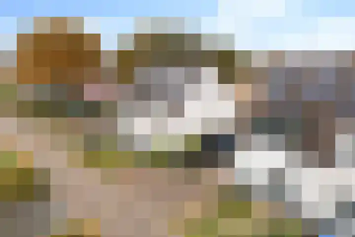 Westerbeek 5 Schoonebeek thumbnail 40