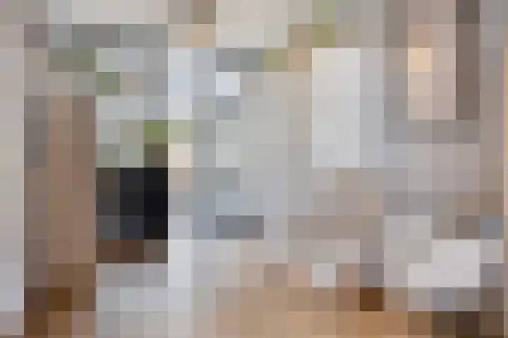 Westerbeek 5 Schoonebeek thumbnail 5