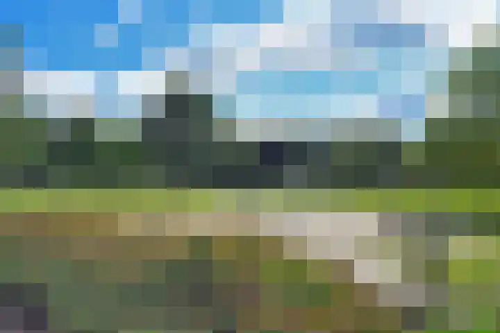 Westerbeek 5 Schoonebeek thumbnail 50