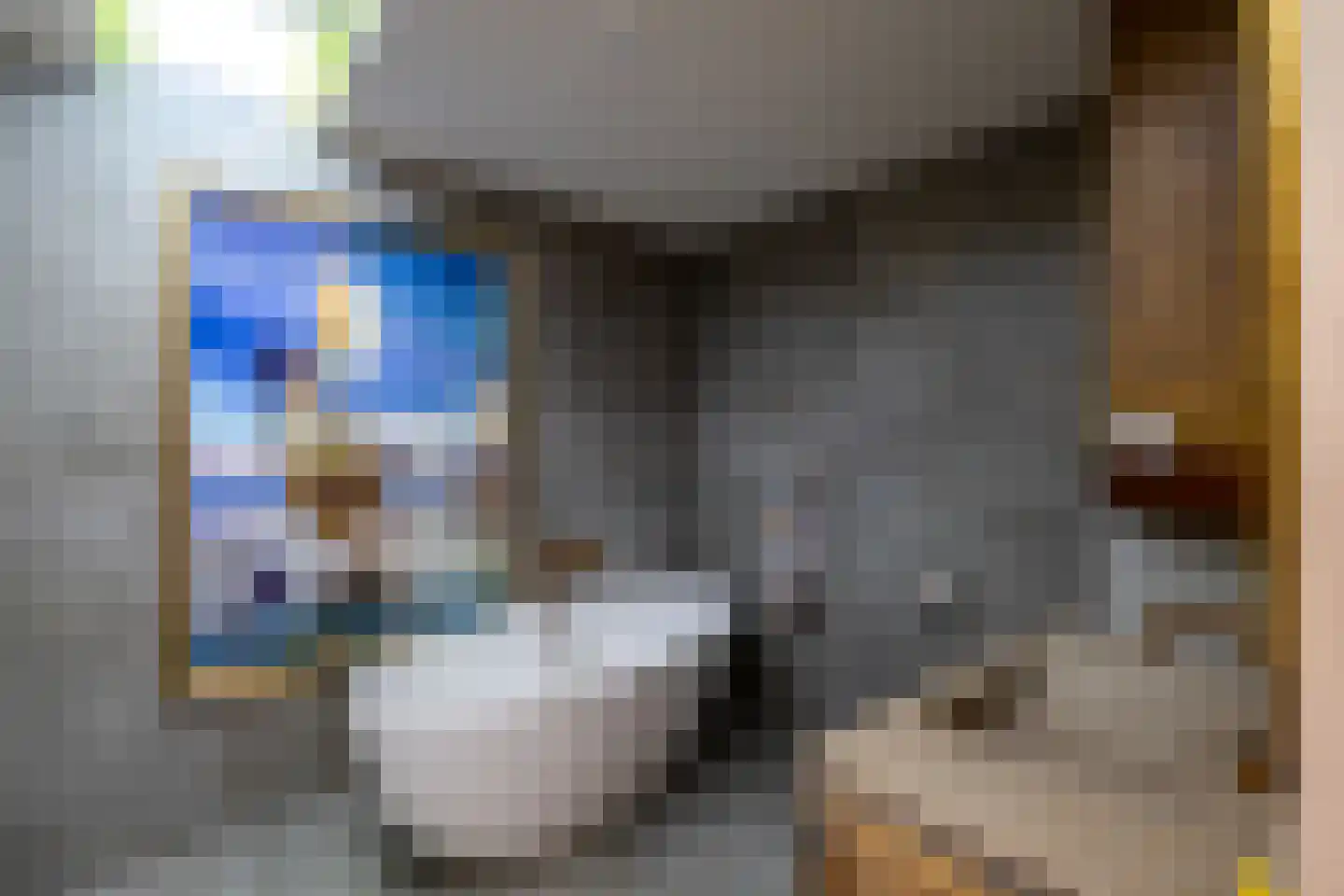 Westerbinnensingel 29 Groningen thumbnail 5