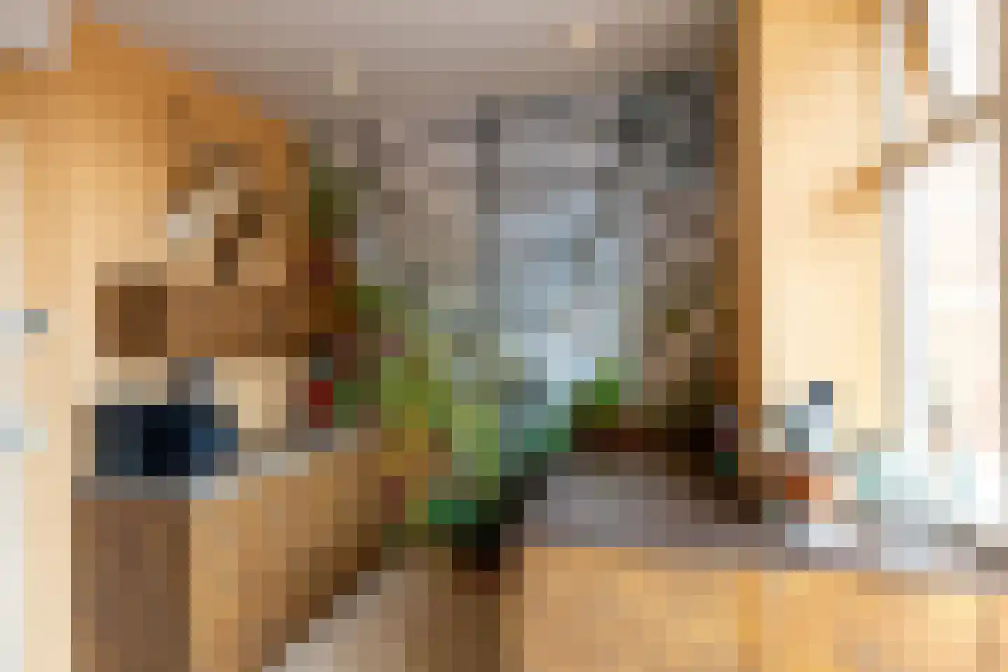 Westerbinnensingel 29 Groningen thumbnail 9
