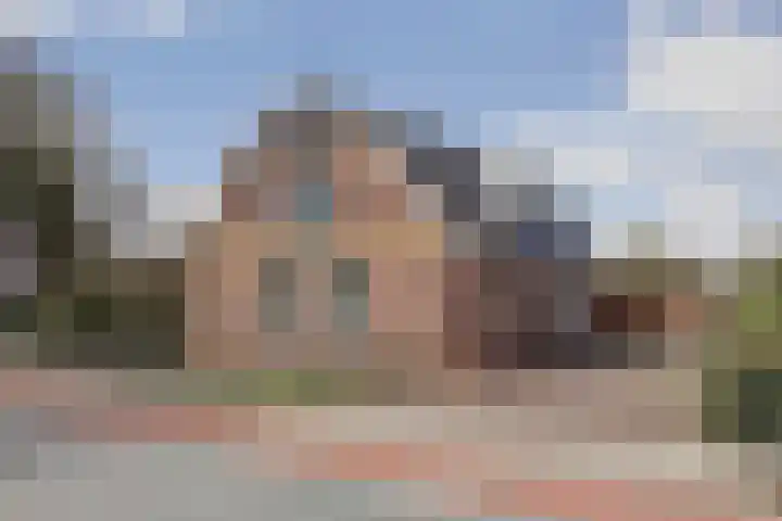 Westerblokker 15 Blokker