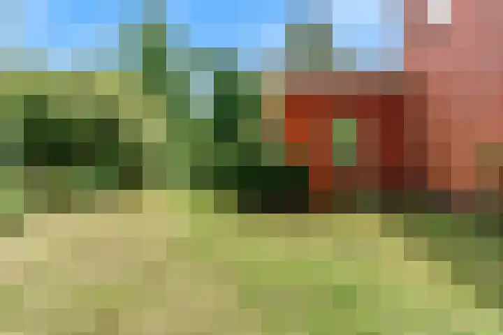 Westerblokker 92 A Blokker thumbnail 37