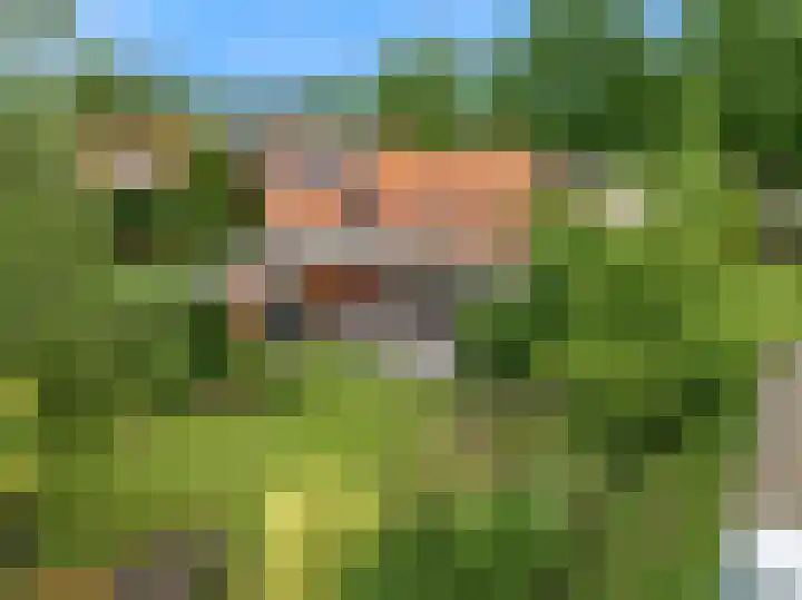 Westerblokker 92 A Blokker thumbnail 43