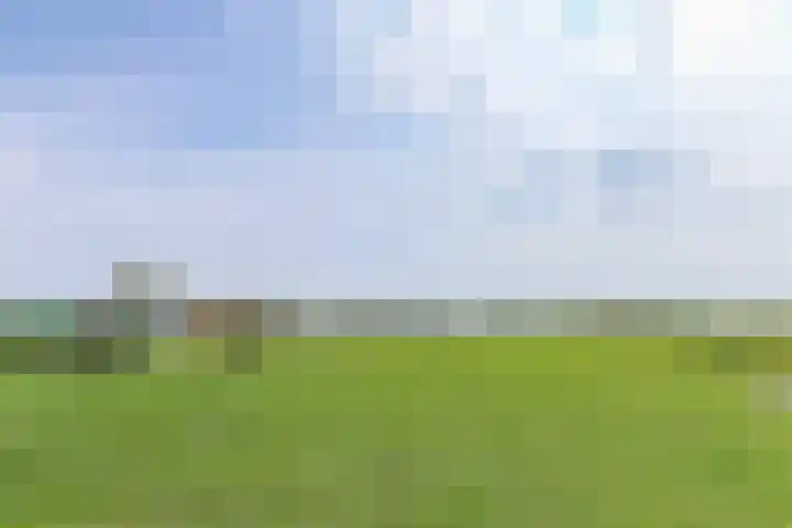 Westerbuurt 11 Venhuizen thumbnail 5
