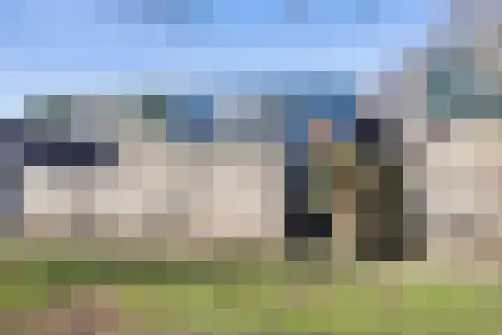 Westercluft 148 Steenwijk thumbnail 42