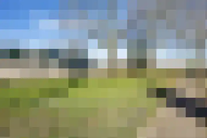 Westercluft 148 Steenwijk thumbnail 43