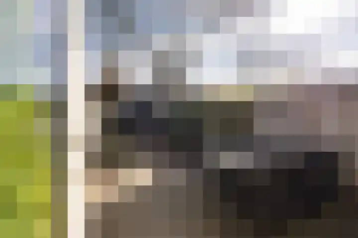Westercluft 148 Steenwijk thumbnail 6