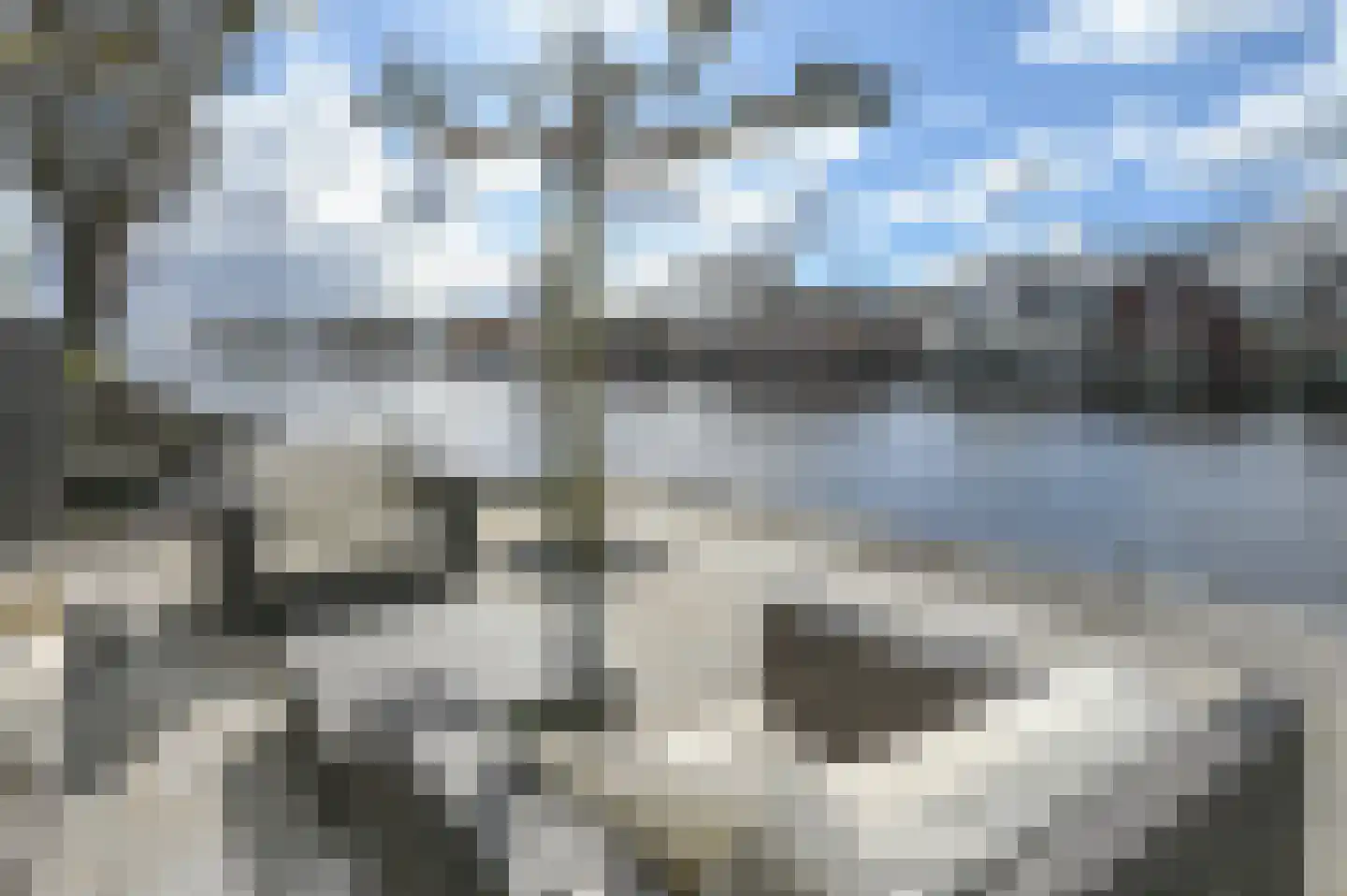 Westerdijk 34 Leimuiden thumbnail 71