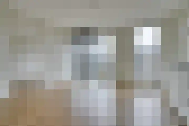 Westerdijk 4 0201 Utrecht thumbnail 11