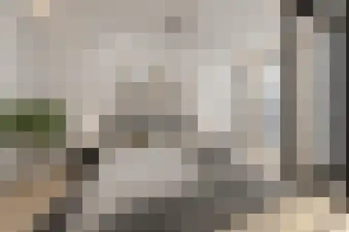 Westerdijk 4 0201 Utrecht thumbnail 4
