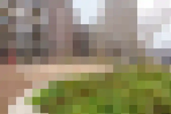 Westerdijk 4 0225 Utrecht thumbnail 16