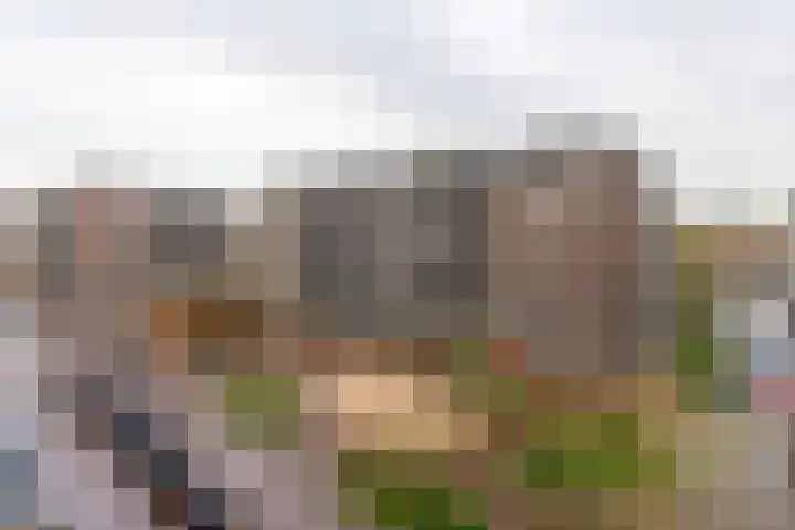Westerdijk 4 0408 Utrecht thumbnail 17