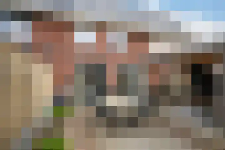 Westerdijkstraat 18 Ridderkerk thumbnail 18