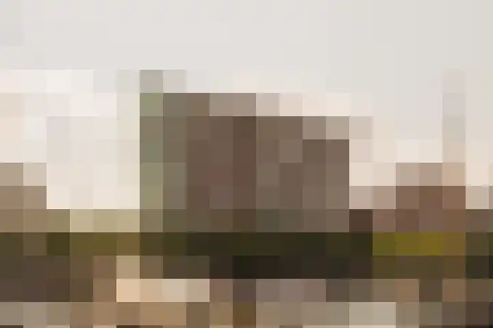 Westerdok 848 Amsterdam