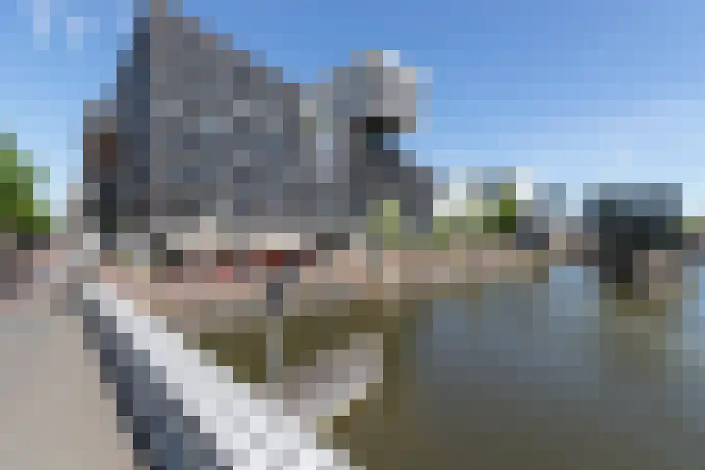 Westerdoksdijk 345 Amsterdam thumbnail 52