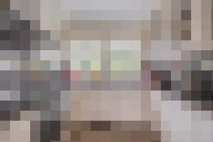 Westerdreef 38 Lisse thumbnail 10
