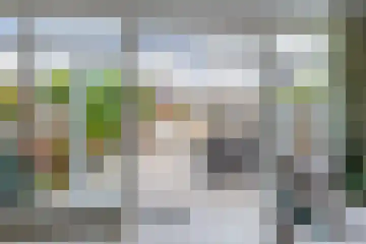 Westerdreef 38 Lisse thumbnail 13