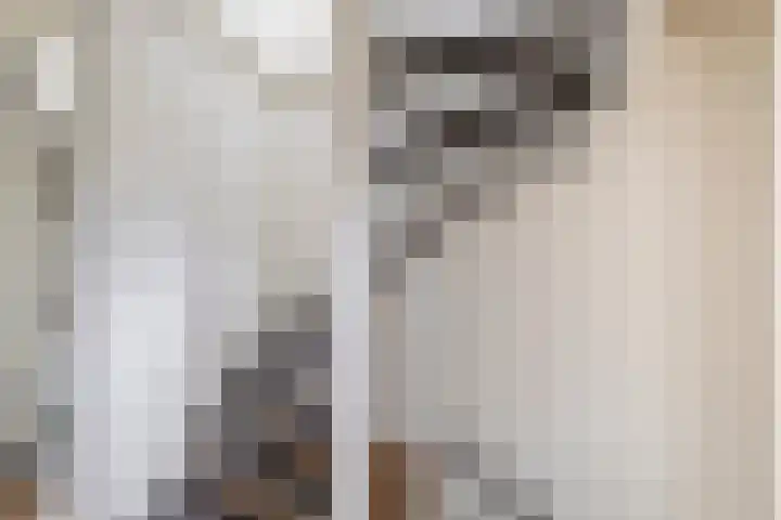 Westerdreef 38 Lisse thumbnail 17