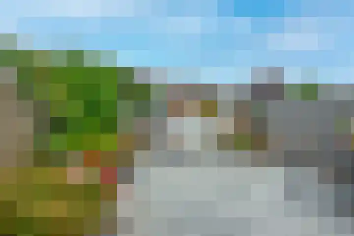 Westerdreef 38 Lisse thumbnail 31
