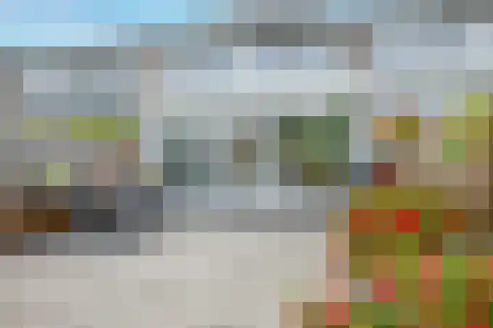 Westerdreef 38 Lisse thumbnail 32