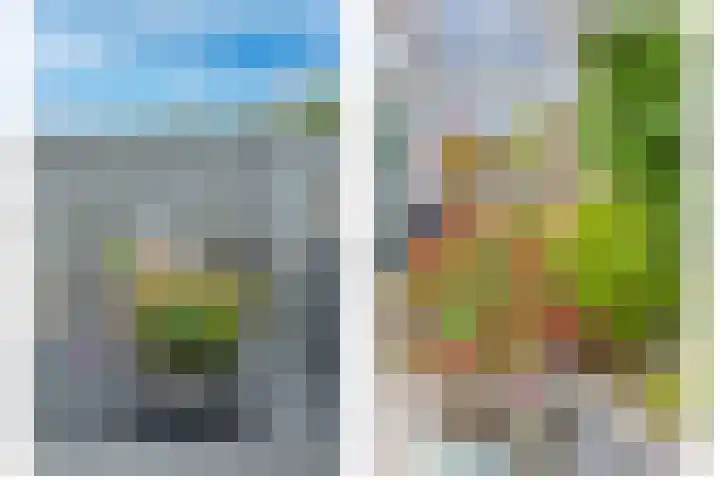 Westerdreef 38 Lisse thumbnail 35