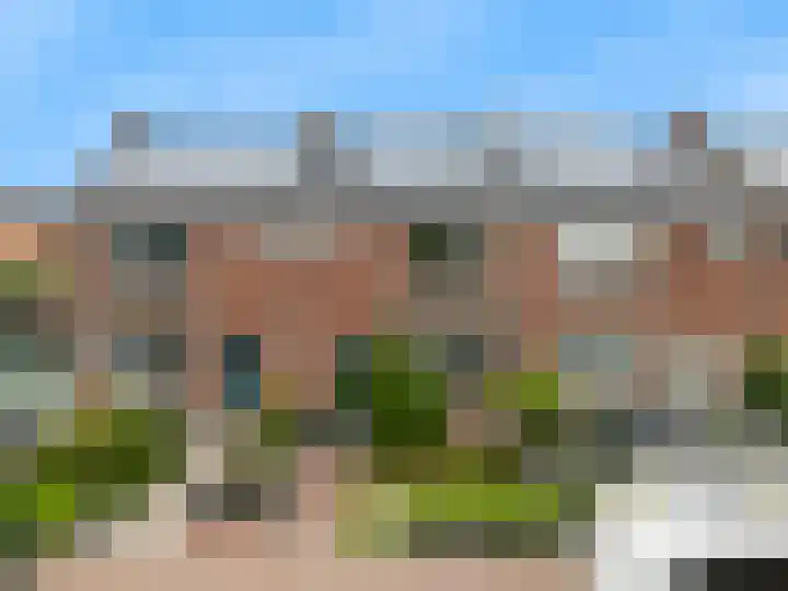 Westergeest 76 en Uitgeest
