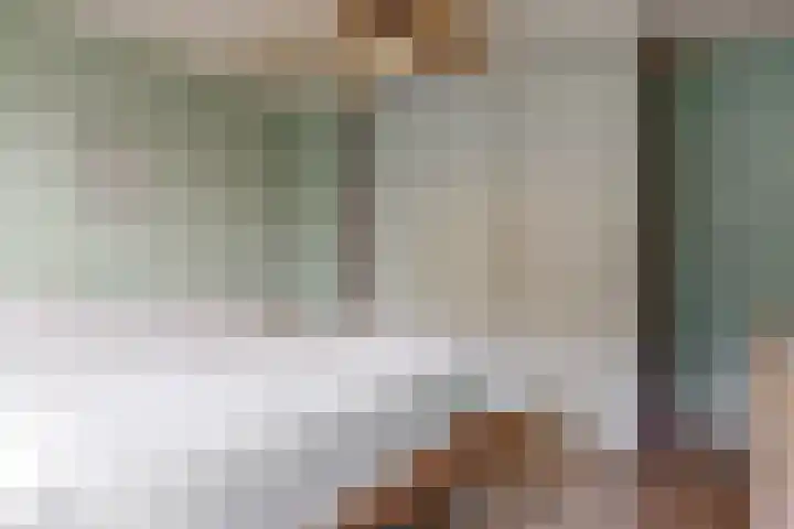 Westergeest 76 Uitgeest thumbnail 17