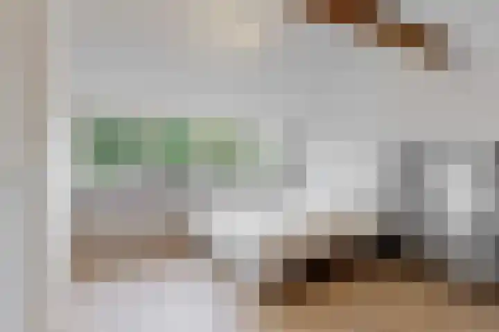 Westergeest 76 Uitgeest thumbnail 23