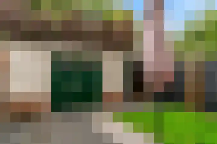 Westergeest 76 Uitgeest thumbnail 26
