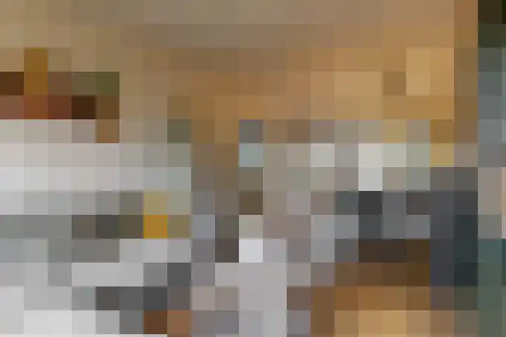 Westergeest 76 Uitgeest thumbnail 5