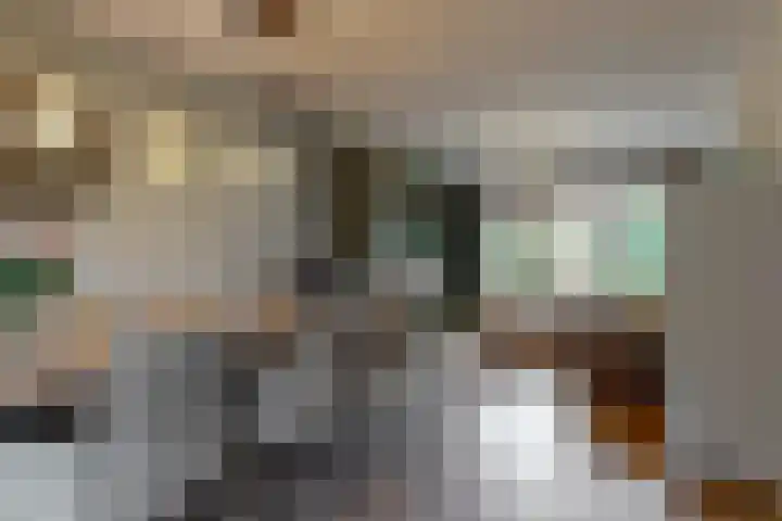 Westergeest 76 Uitgeest thumbnail 8