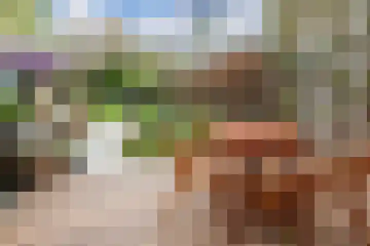 Westergo 53 Zoetermeer thumbnail 16