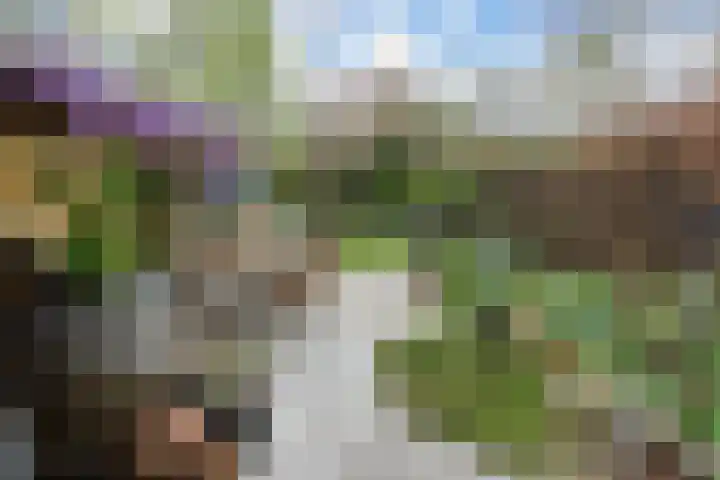 Westergo 53 Zoetermeer thumbnail 19