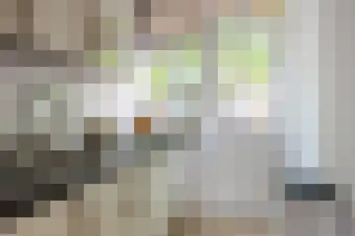 Westergracht 51 B Haarlem thumbnail 25