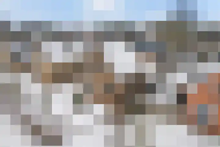 Westerhoflaan 3 Marum thumbnail 39