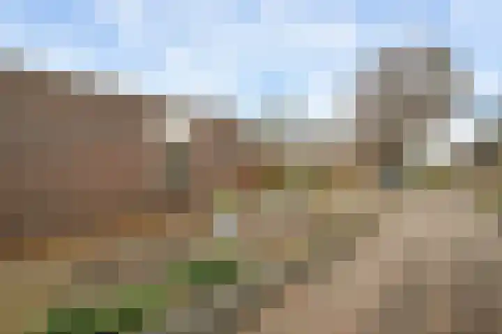Westerholtstraat 67 Horst thumbnail 7