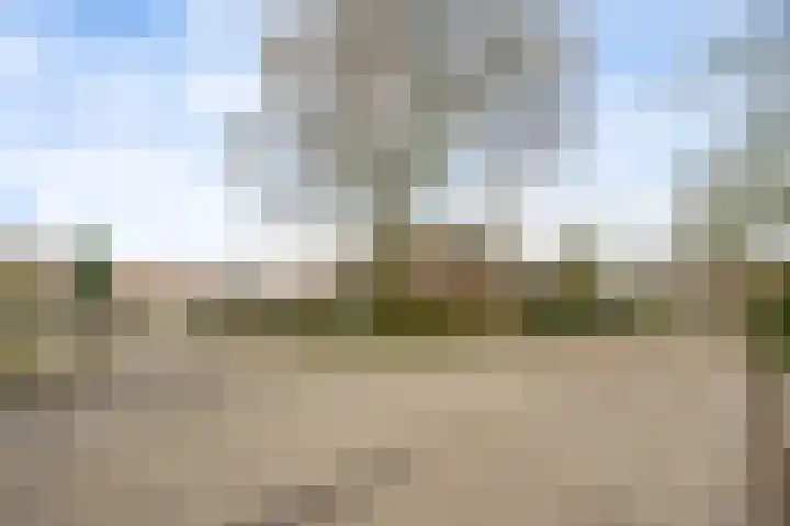 Westerholtstraat 67 Horst thumbnail 8