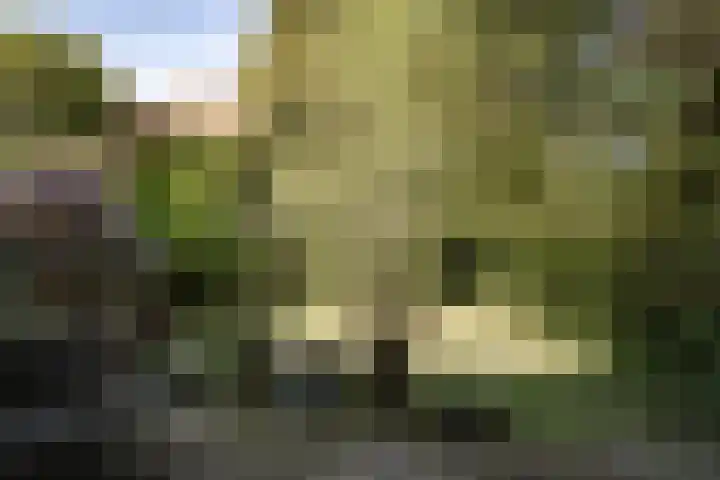 Westerhoutpark 1 Haarlem thumbnail 24