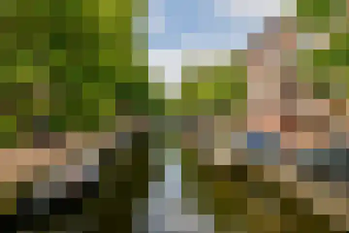 Westerkade 12 K Amsterdam thumbnail 11