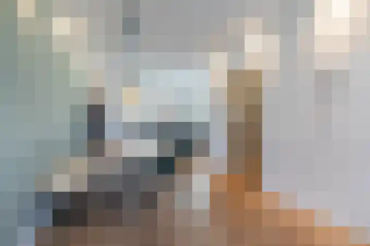 Westerkade 4 BS Utrecht thumbnail 11
