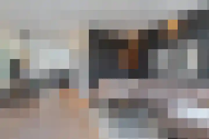 Westerkade 4 BS Utrecht thumbnail 7