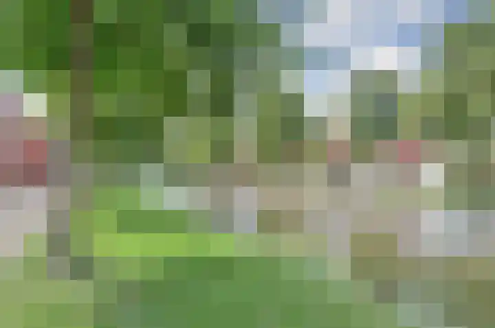 Westerkade 75 Gouda foto 2