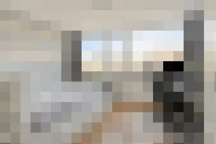 Westerkade 75 Gouda thumbnail 20