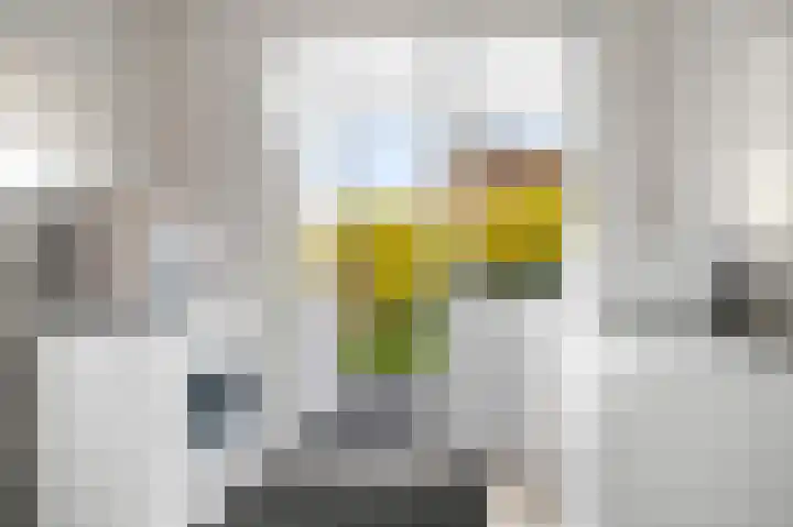 Westerkamp 10 Deventer thumbnail 14