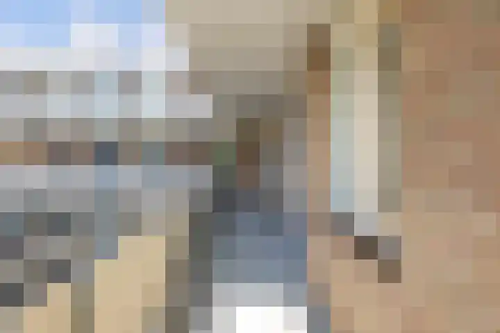 Westerkamp 10 Deventer foto 2