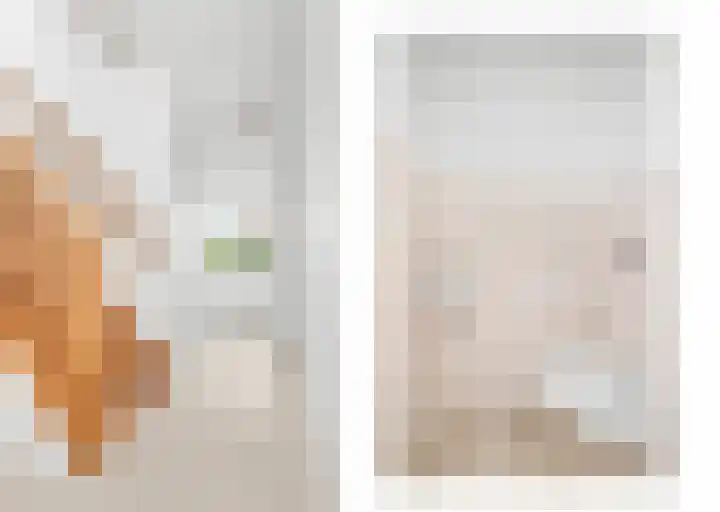 Westerkamp 10 Deventer thumbnail 22