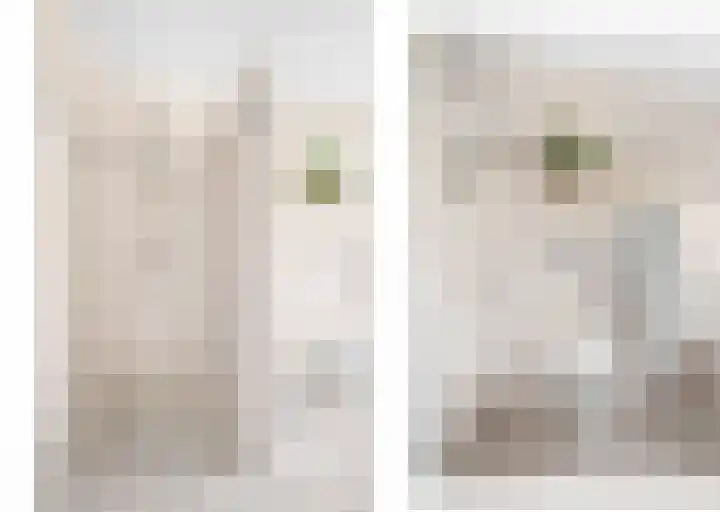 Westerkamp 10 Deventer thumbnail 32