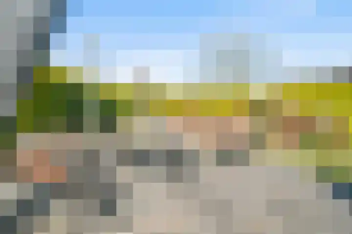 Westerkamp 10 Deventer thumbnail 40